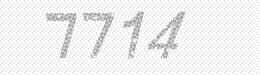 Visual security code — type the characters shown in the image