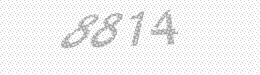 Visual security code — type the characters shown in the image
