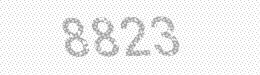 Visual security code — type the characters shown in the image